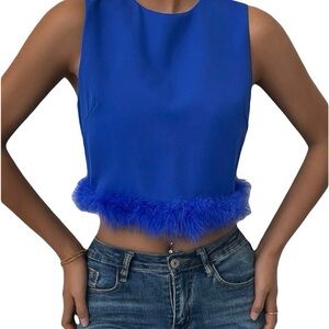Blue Feather Detailed Top